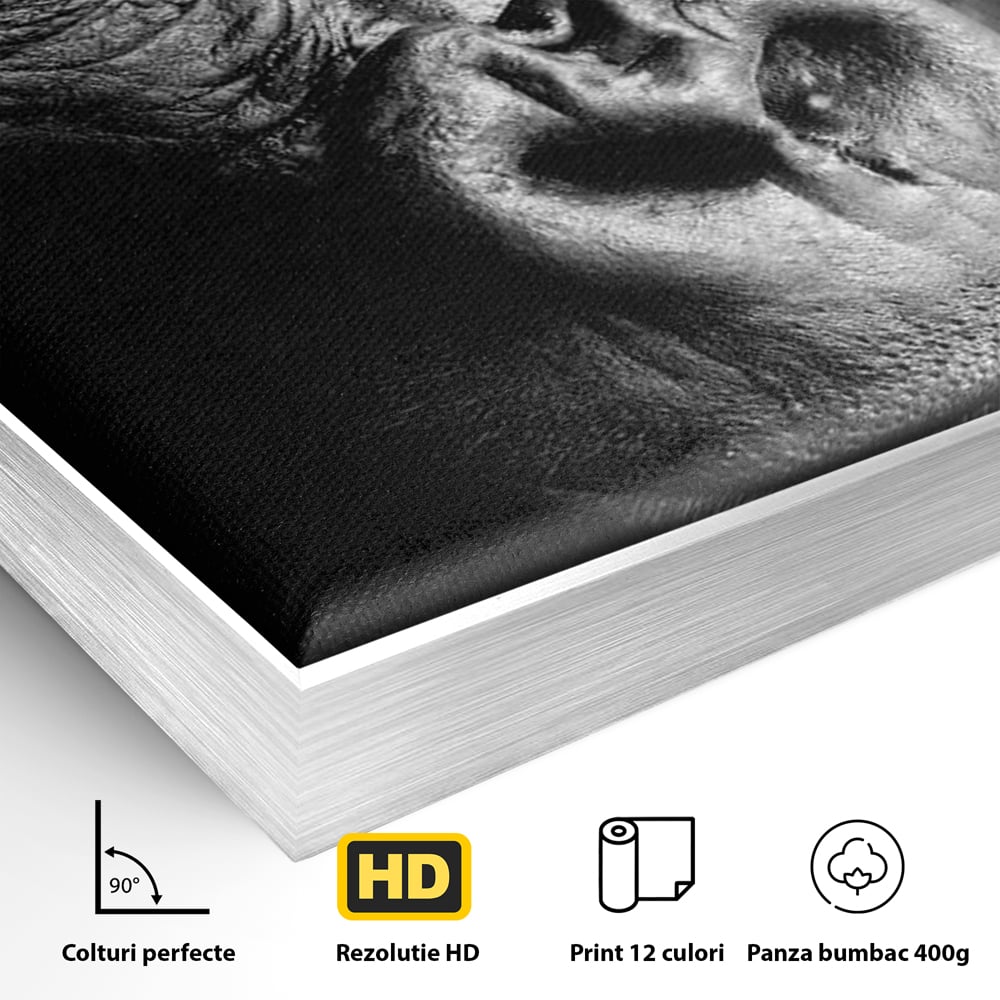 Detaliu al suprafetei: tablou canvas cu portret de gorila, in rama de aluminiu argintiu